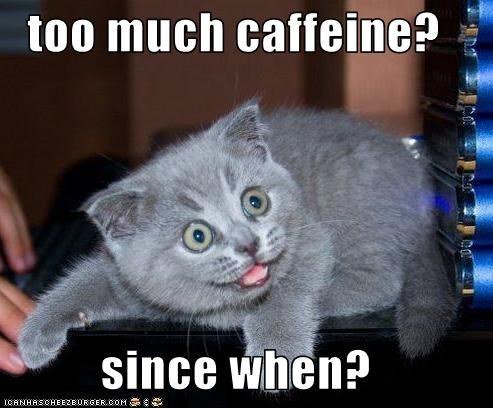 cat_coffee